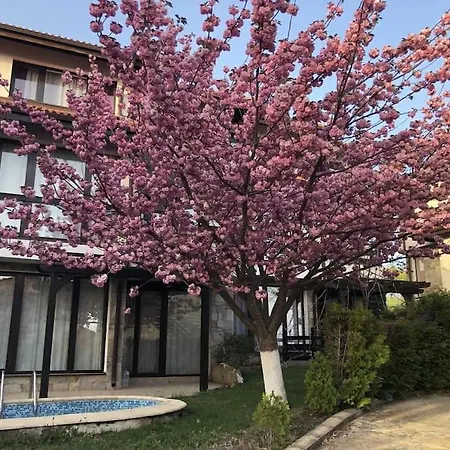 וילה Bay View Sunny Entire *